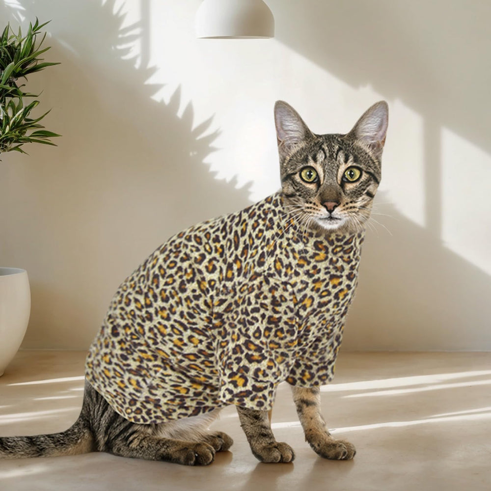 JL WarmPaws cuidado: lavado fácil para prendas de gato esfinge.