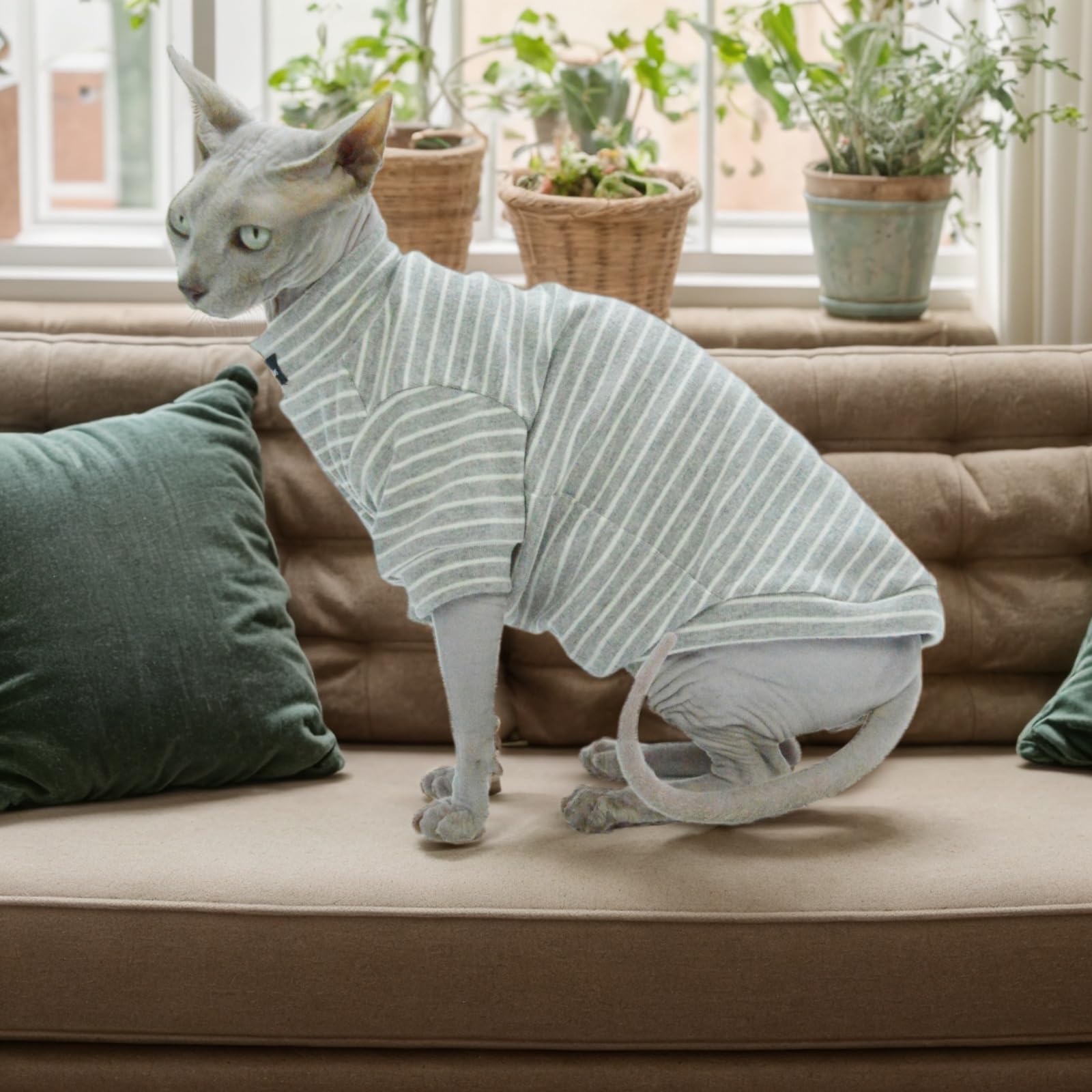 JL WarmPaws Sphynx Sweater cuidado y lavado, mantiene color y forma
