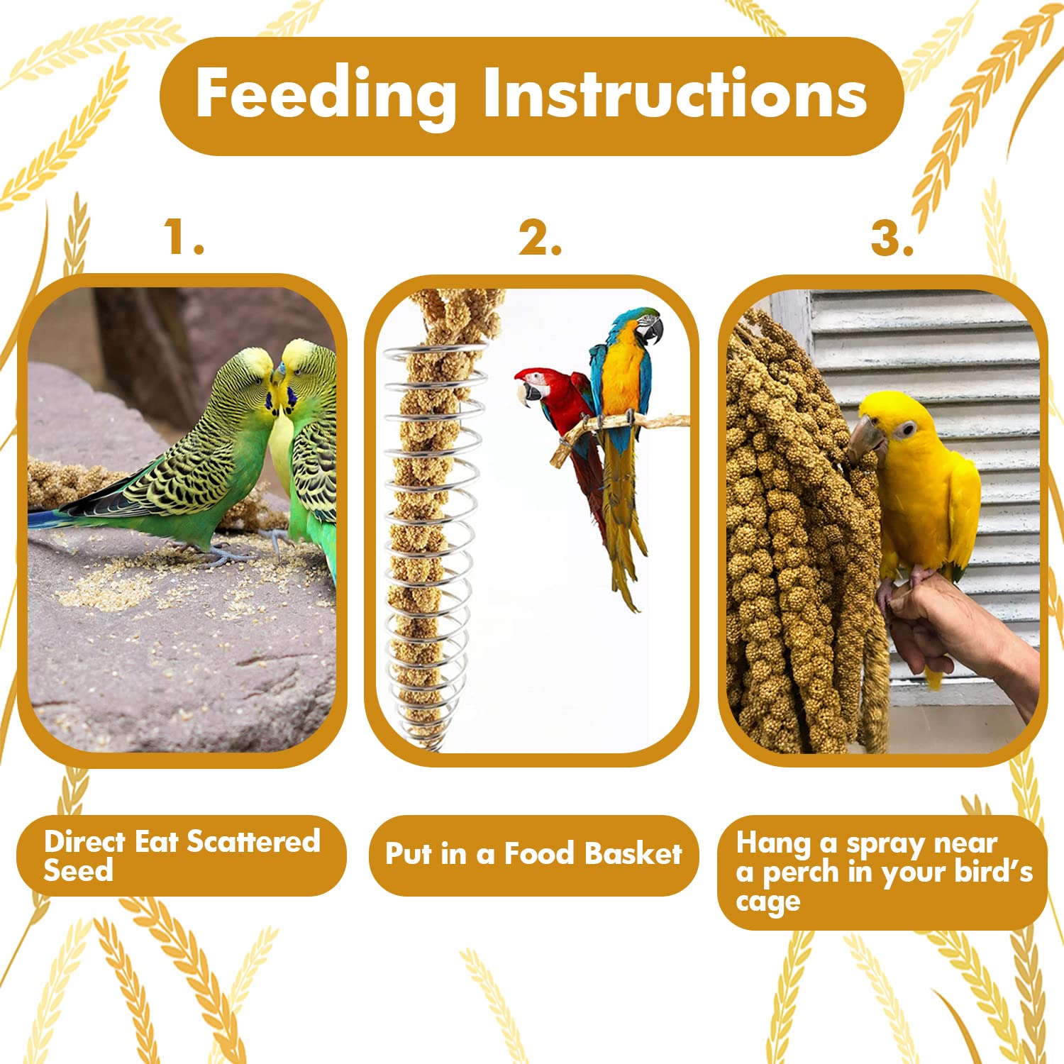 Jmxu's mijo con alto contenido proteico, complemento útil para aves.