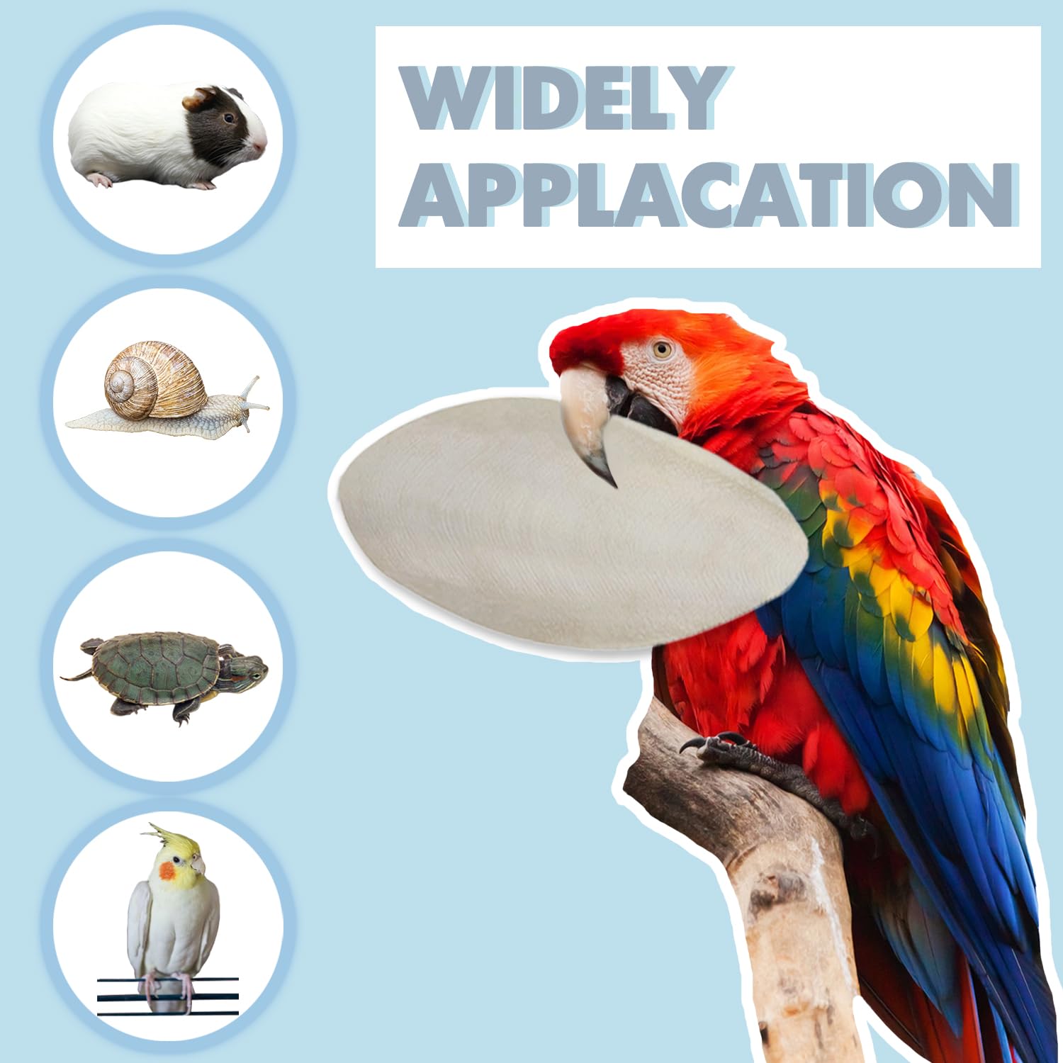 Calcio natural y minerales para aves