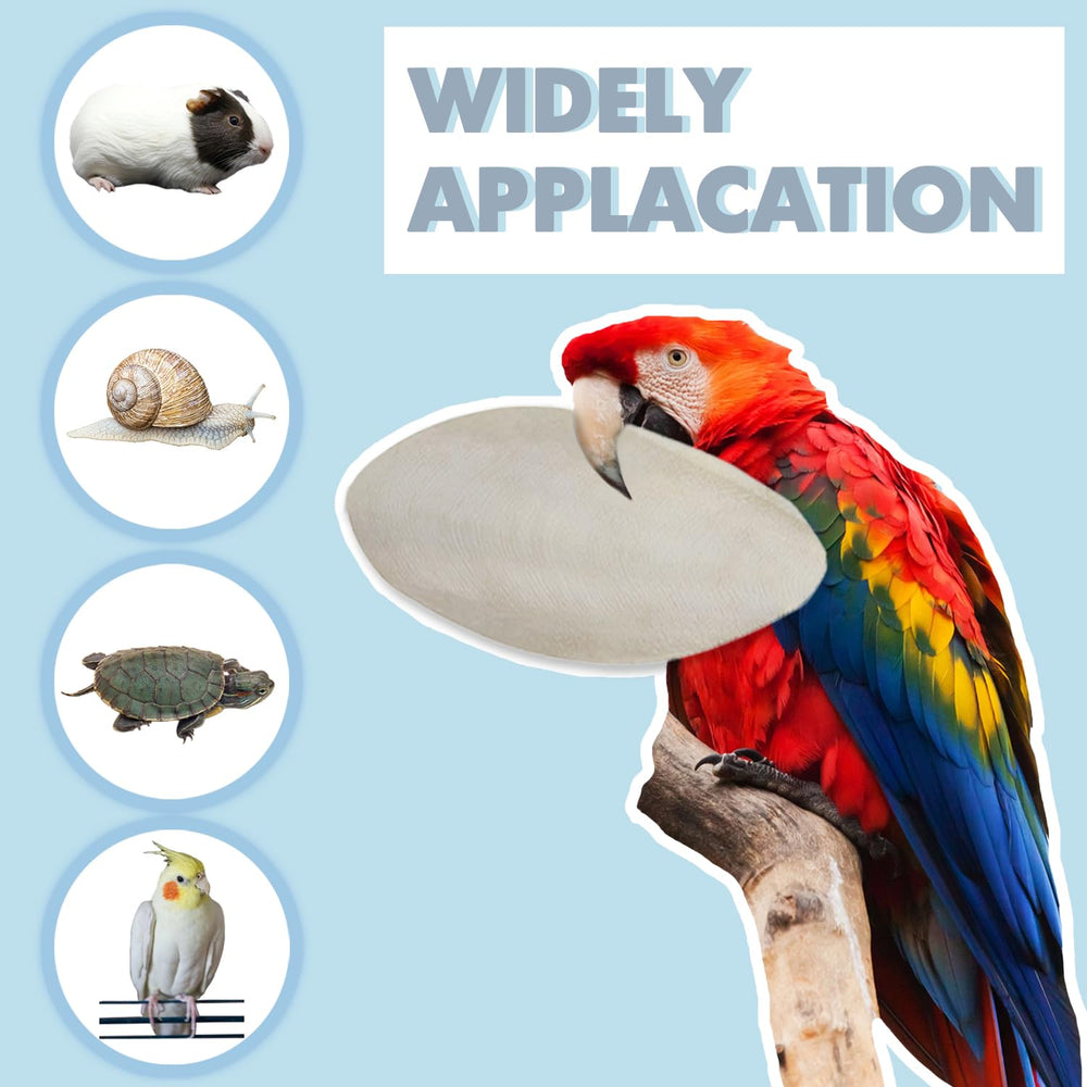 Calcio natural y minerales para aves