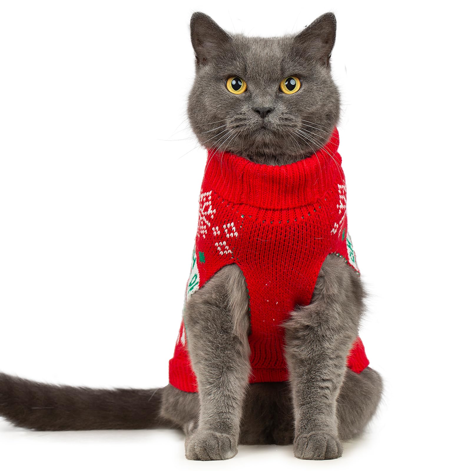 Guía de tallas de Jnancun para gatos de distintas razas.