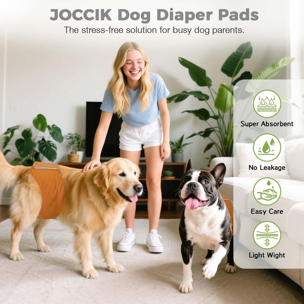 JOCCIK protección nocturna para perros mayores