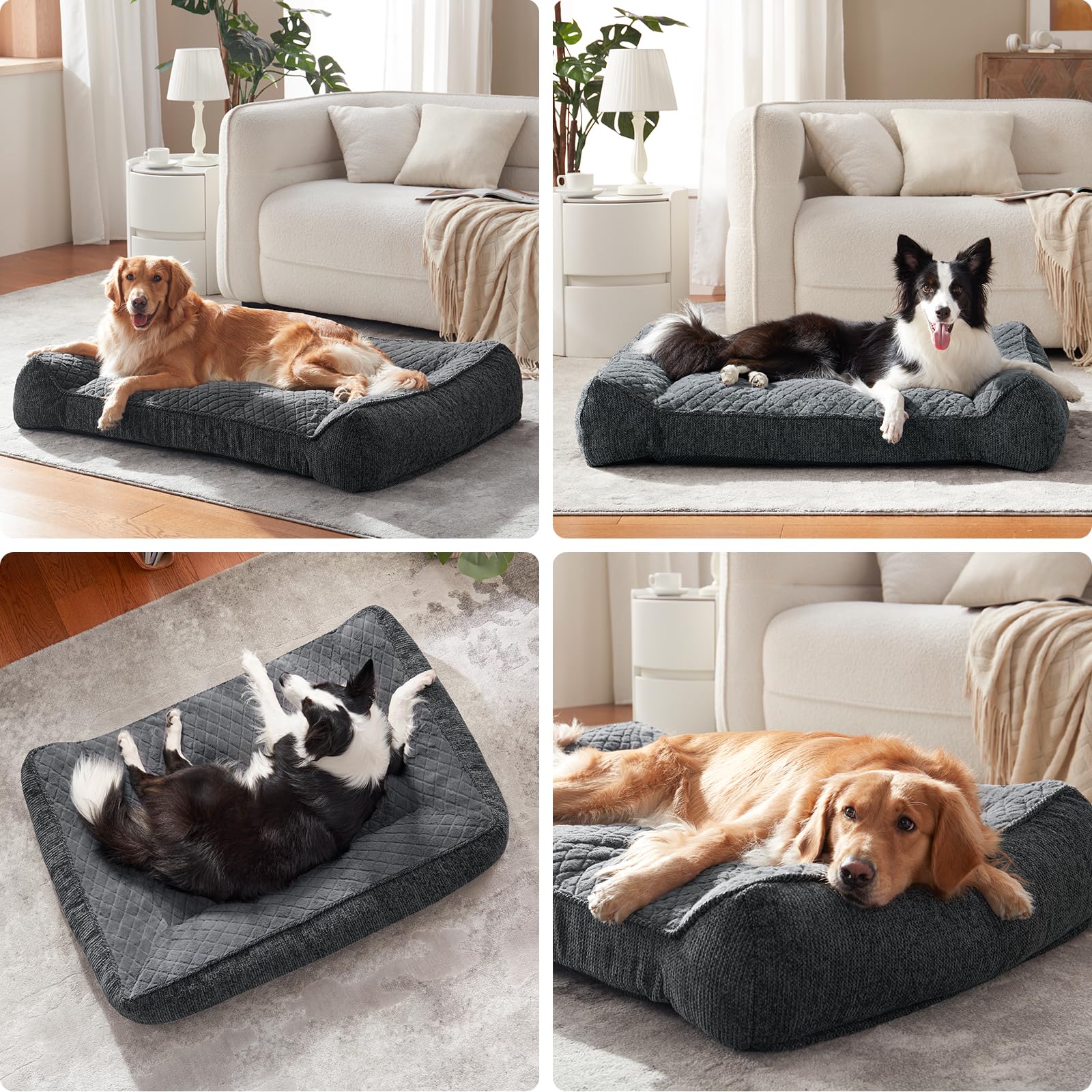 JOEJOY XL disponible en cuatro tallas para perros grandes.