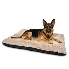 Cama JOEJOY para jaula grande, vista frontal, confort inmediato para perro