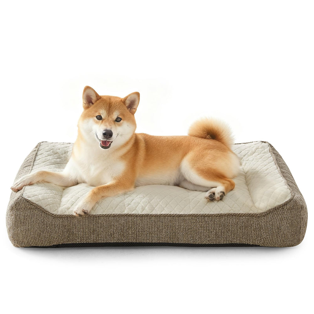Cama ortopédica JOEJOY para perro, frente con soporte de cuello para descanso cómodo