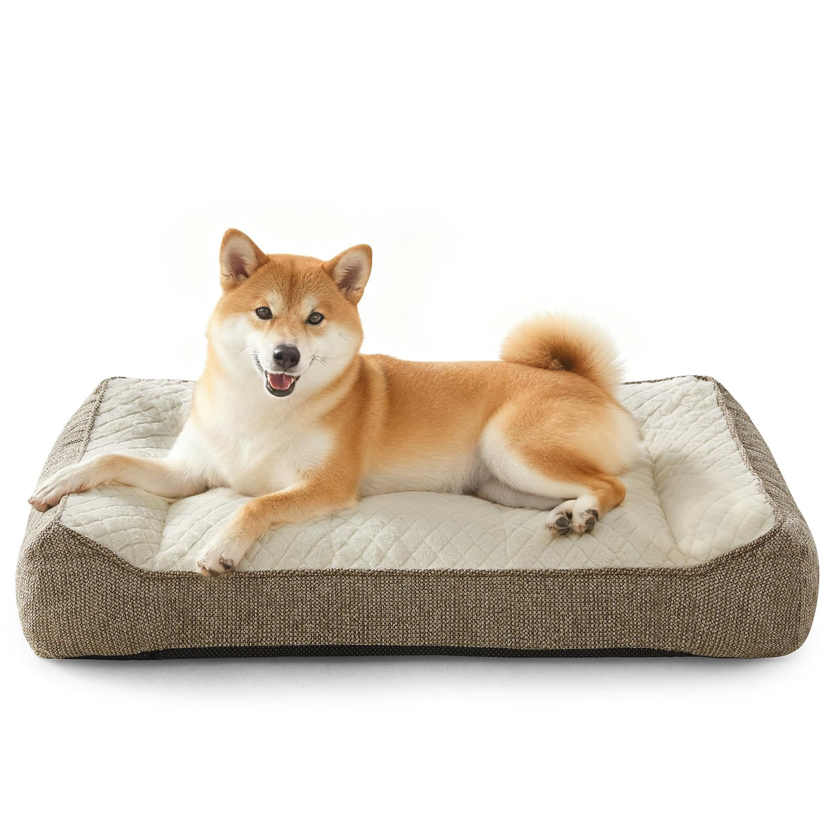 Cama ortopédica JOEJOY para perro, frente con soporte de cuello para descanso cómodo