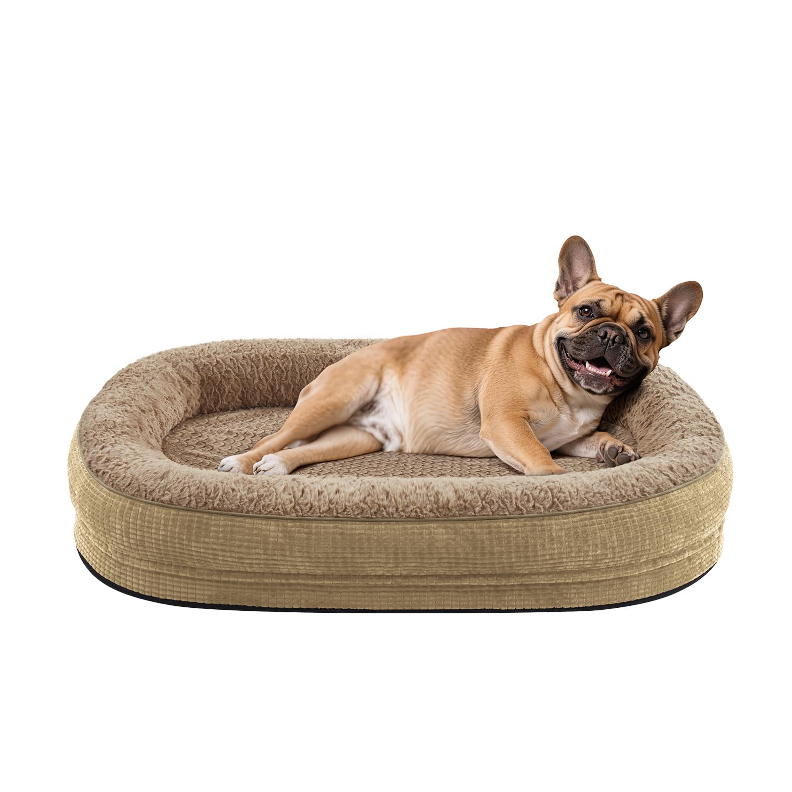 Cama ortopédica JOEJOY para perro mediano, vista frontal; promueve descanso estable.