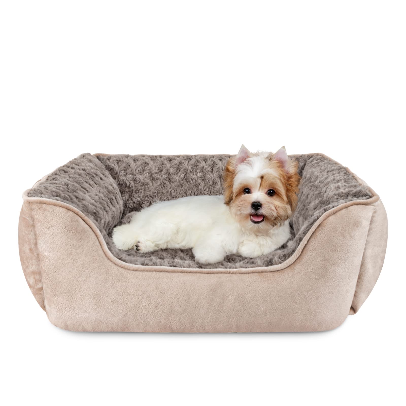 Cama JOEJOY con bordes elevados ofrece soporte cómodo para la cabeza de tu mascota