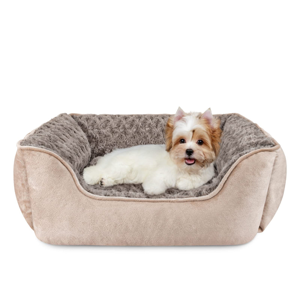 Cama JOEJOY con bordes elevados ofrece soporte cómodo para la cabeza de tu mascota