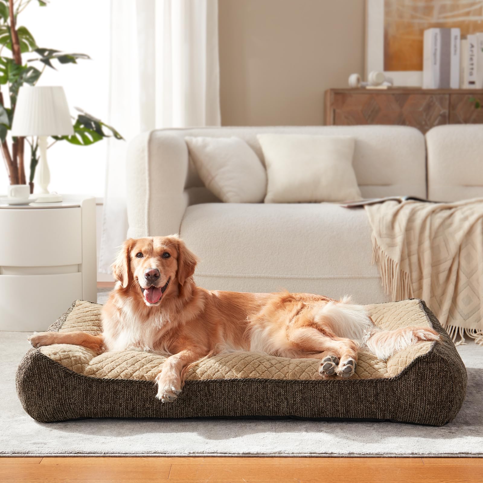 JOEJOY XL dimensiones 38x28 pulgadas para perros grandes