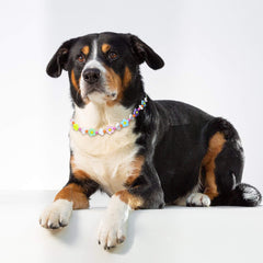 JOGIA collar floral de perlas para perra, estilo elegante para salidas.