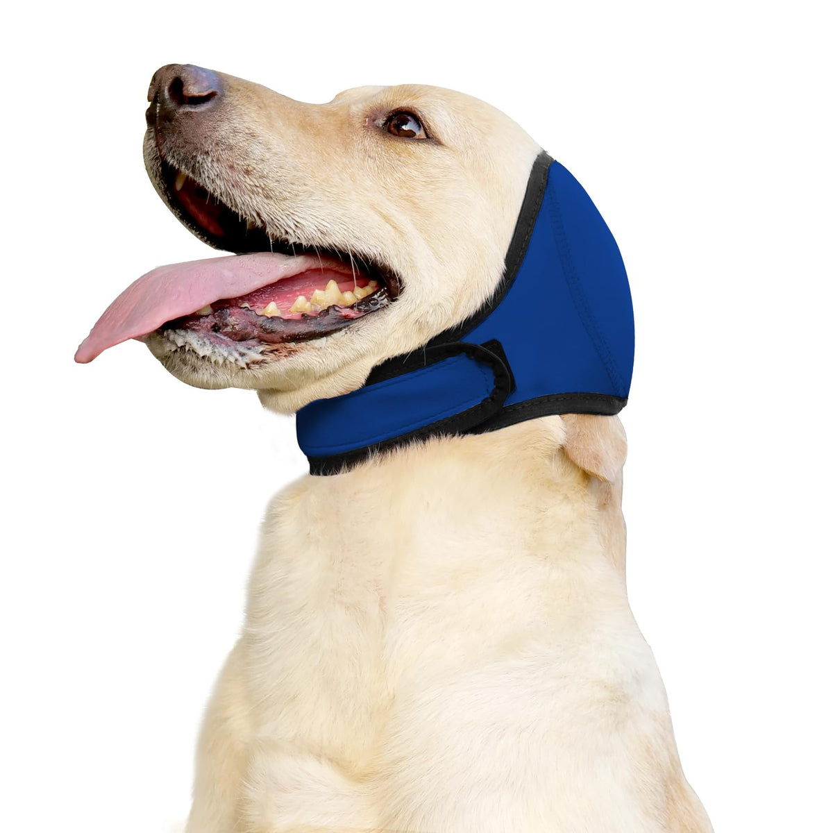 Johnbolin protector de orejas para perros, ideal para baños y salpicaduras.