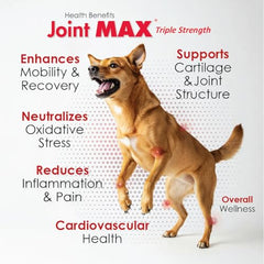 Joint MAX Líquido para Perros: aplicación oral fácil