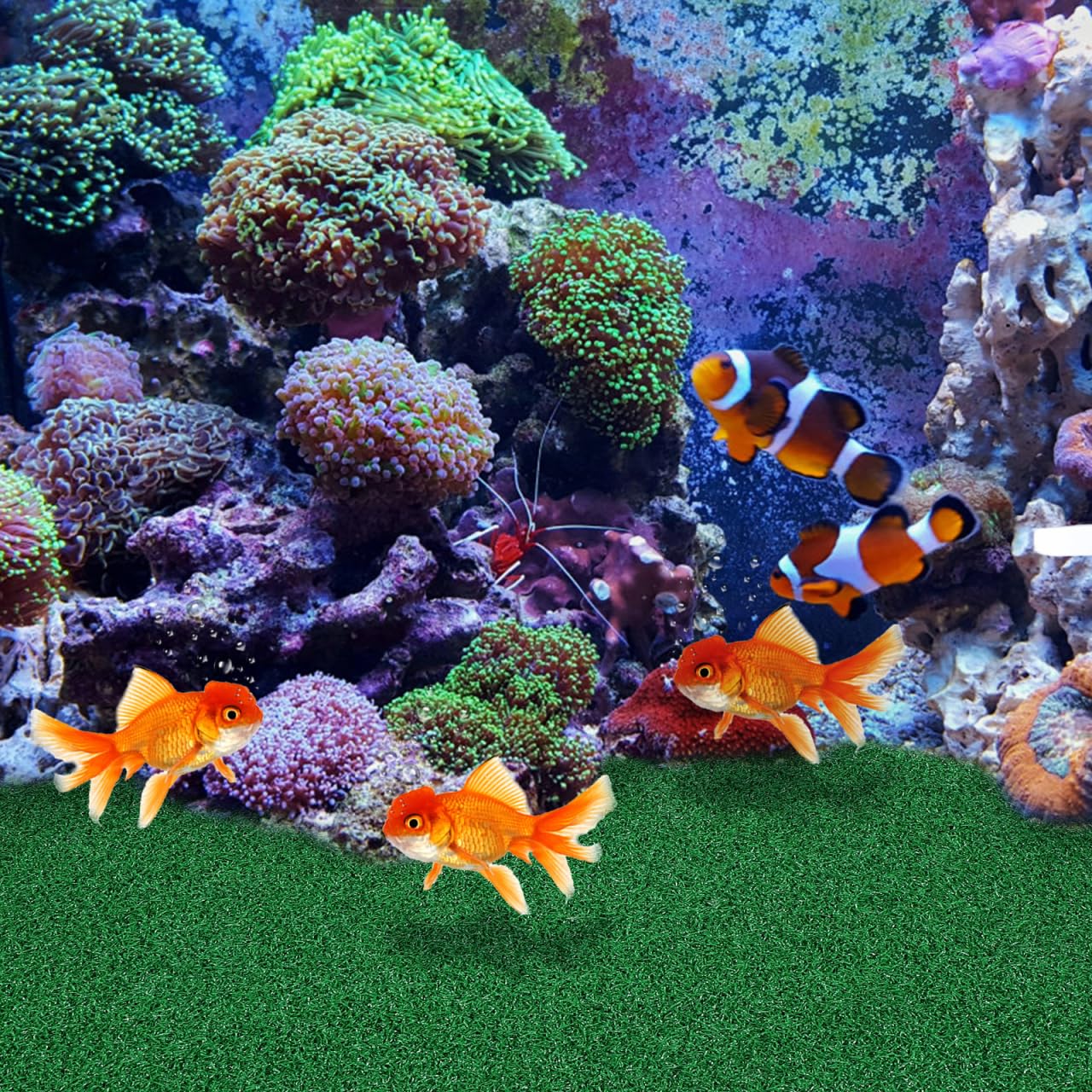 jojofuny diseno realista mejora la estetica del terrario.