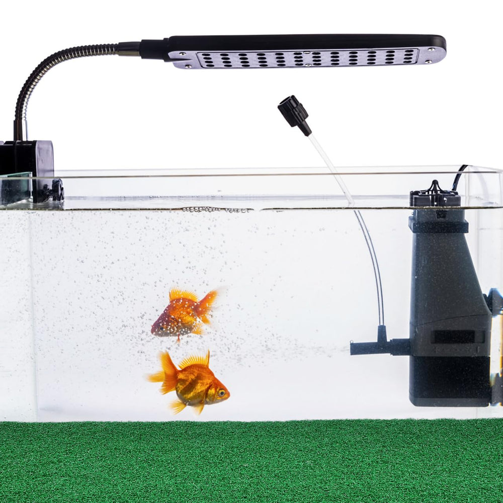 jojofuny plataforma descanso tortugas, ideal para acuario.