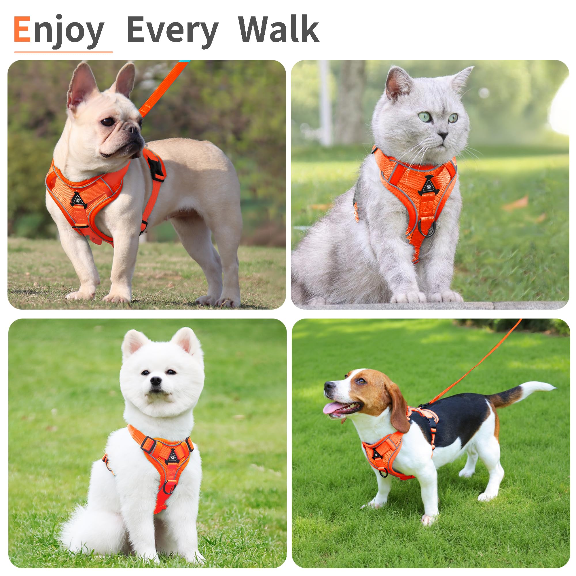 Arnés Jolifield ajustable para perros pequeños, cómodo y bien adaptado.