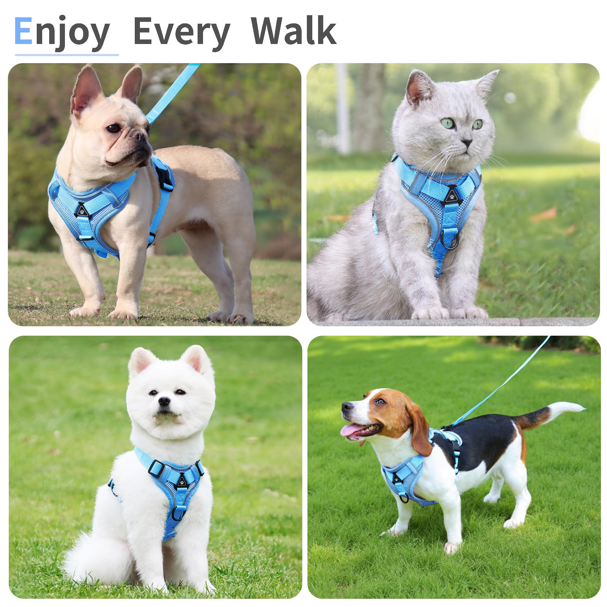 Ajuste fácil Jolifield para talla pequeña de perro o gato