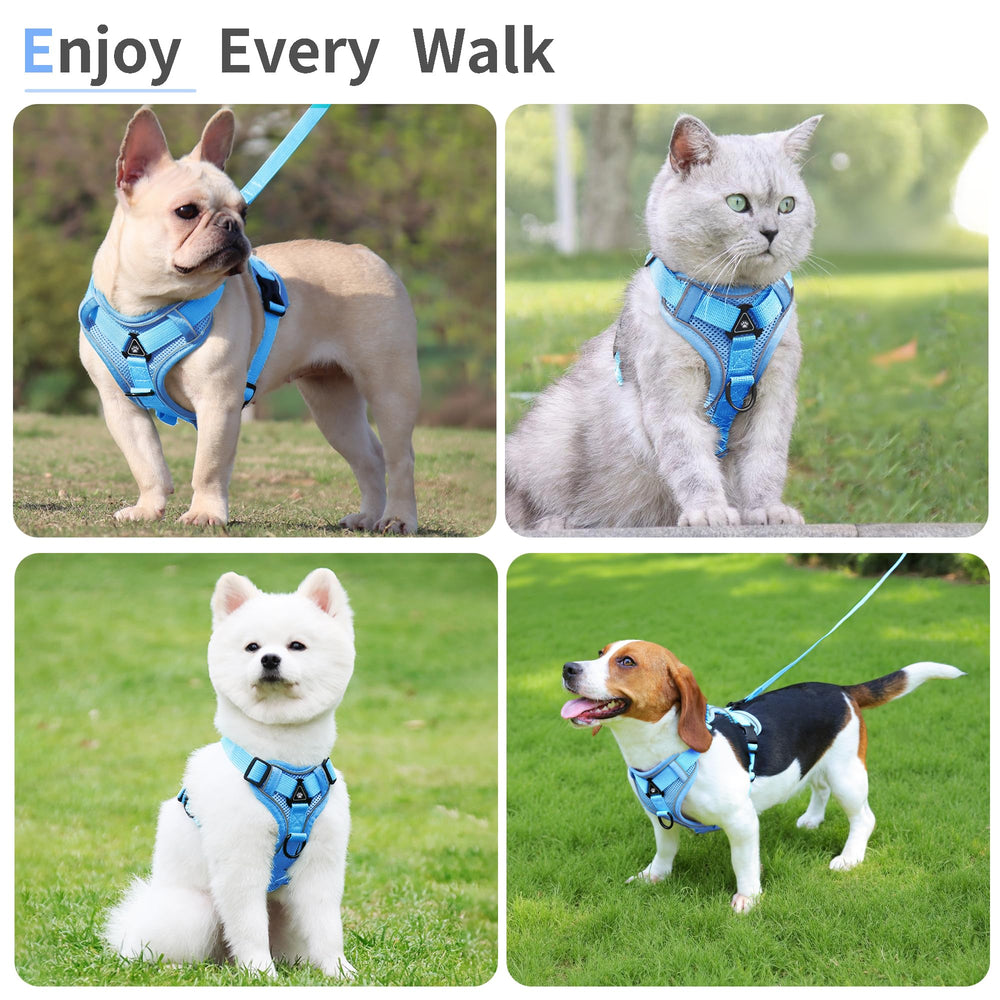 Ajuste fácil Jolifield para talla pequeña de perro o gato