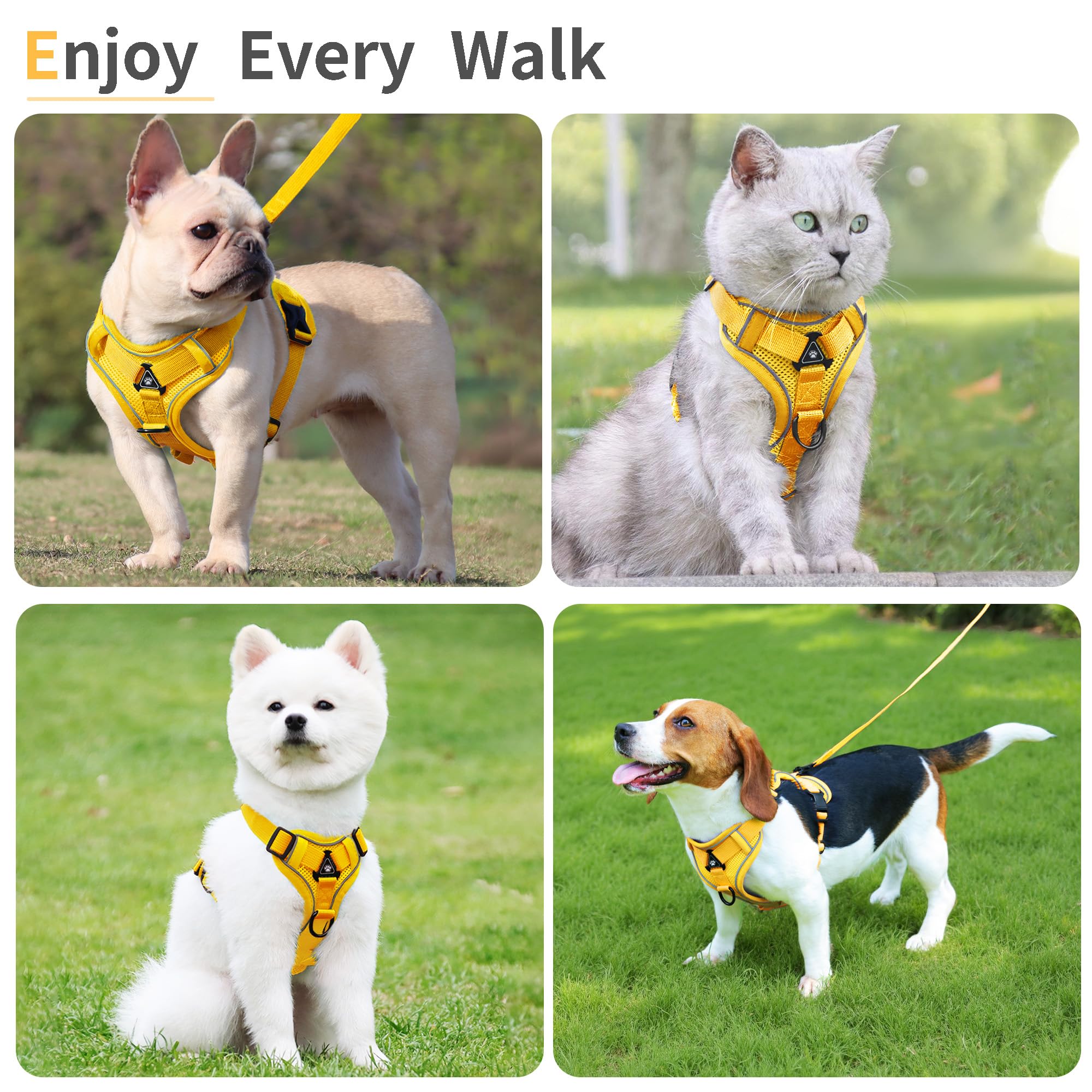 Jolifield arnés ligero y suave, ideal para perros pequeños