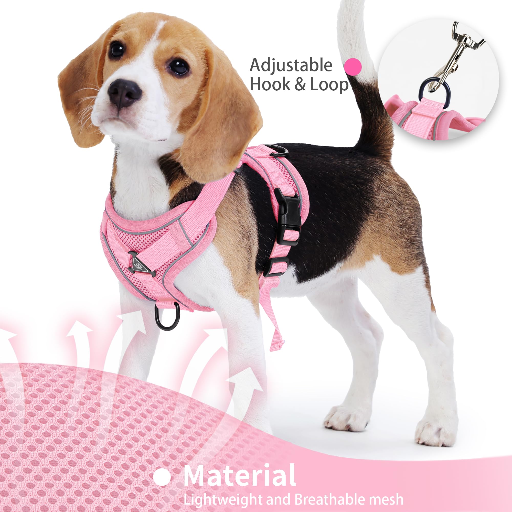 Arnés Jolifield No Pull en malla transpirable para todas las estaciones.