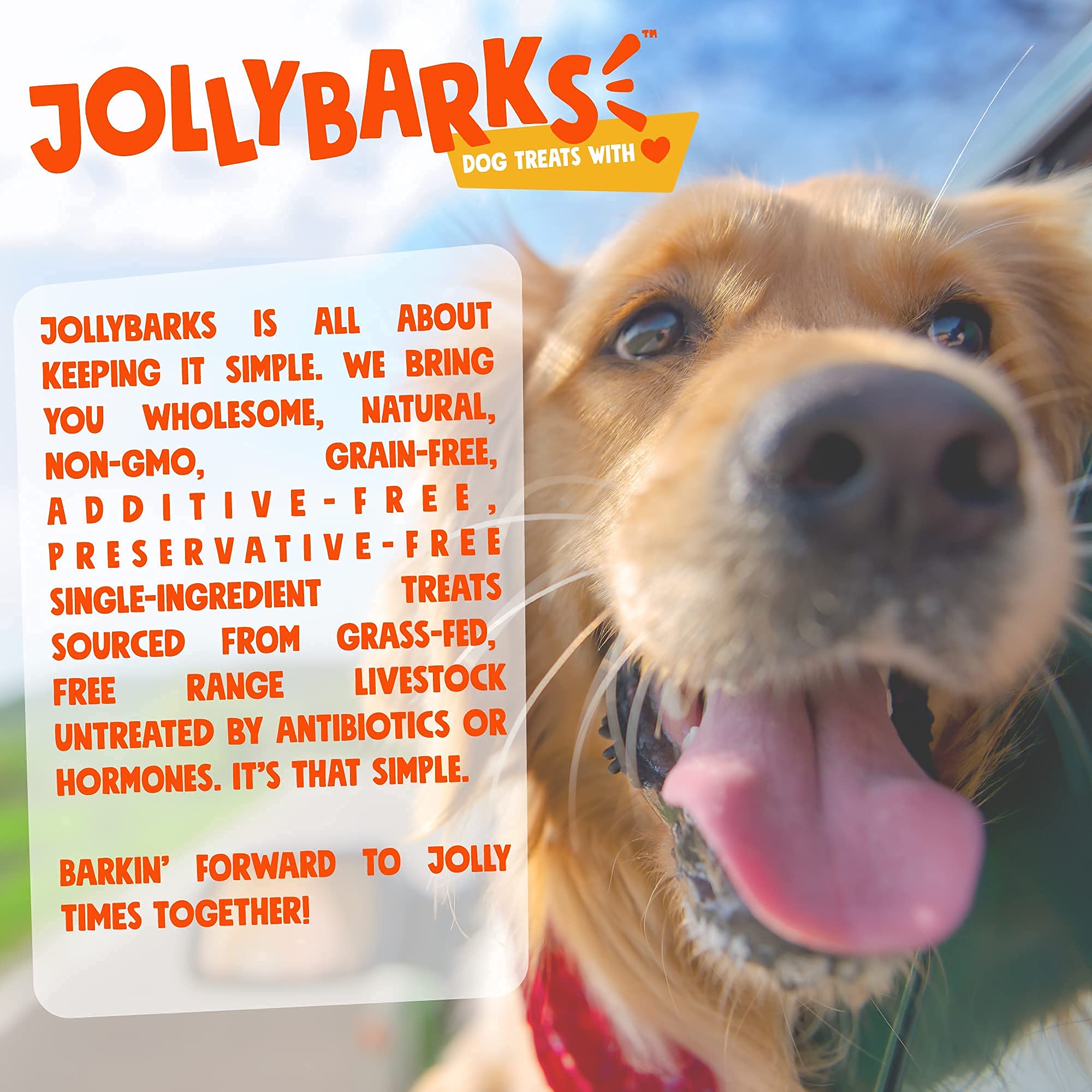 Jolly Barks para cachorros y perros medianos, 12 pulgadas de sabor irresistible.