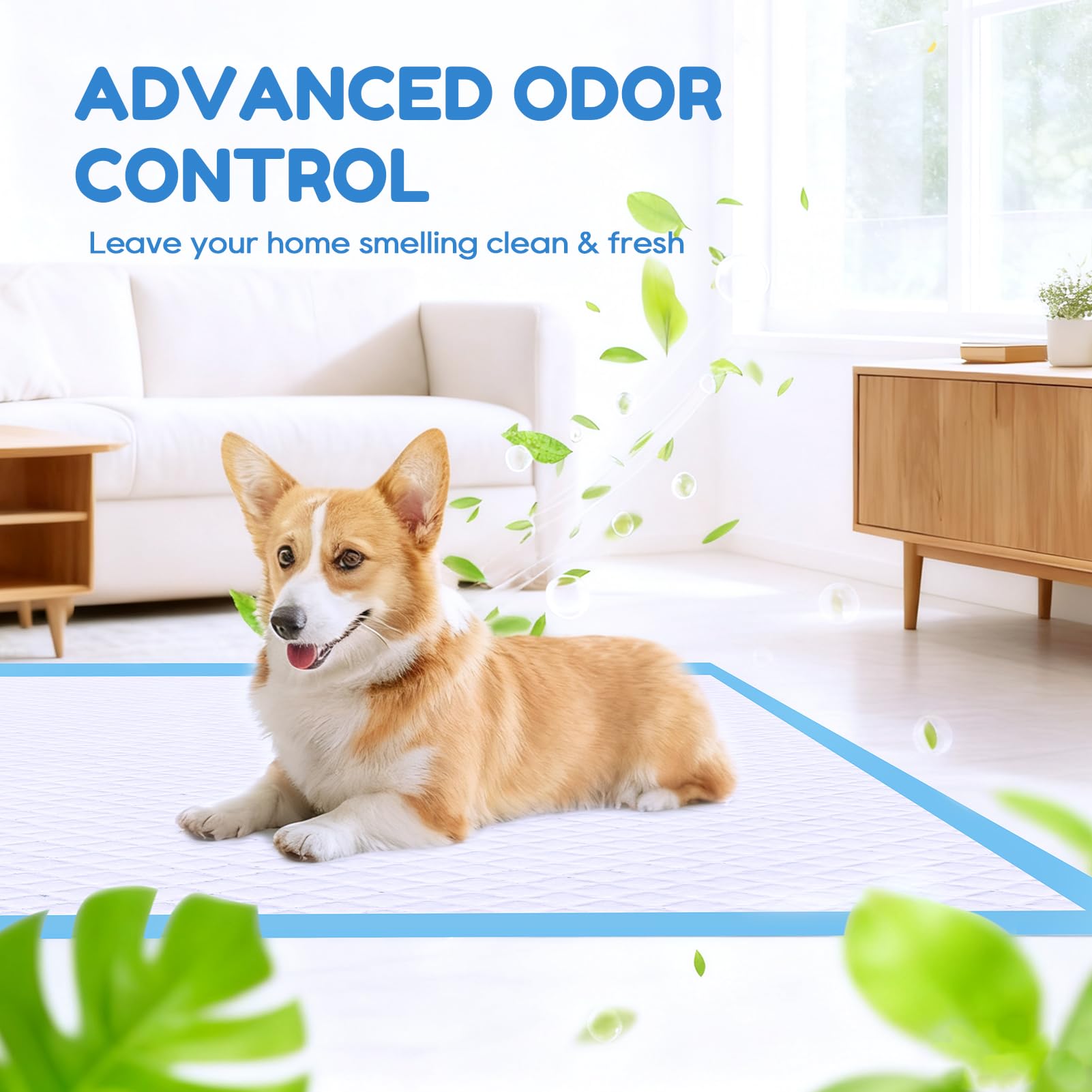 Jolly Care almohadillas control olor amoniaco para un ambiente más fresco.