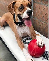 Jolly Pets Romp-n-Roll: detalle de la pelota roja para juego interactivo