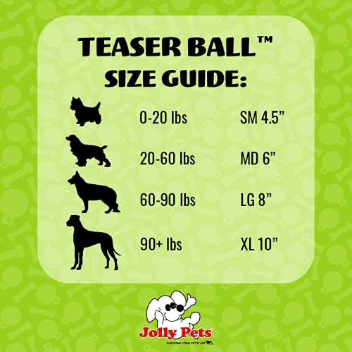 Jolly Pets Teaser Ball exterior fácil de agarrar para tu perro