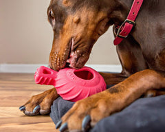 Jolly Pets Tuff Treader con rebote irregular para juego dinámico.