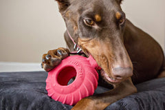 Jolly Pets Tuff Treader con texturas de goma natural para limpieza dental suave.