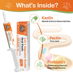 Pasta antidiarrea Jollyfit para perros, favorece heces más firmes y confort estomacal.