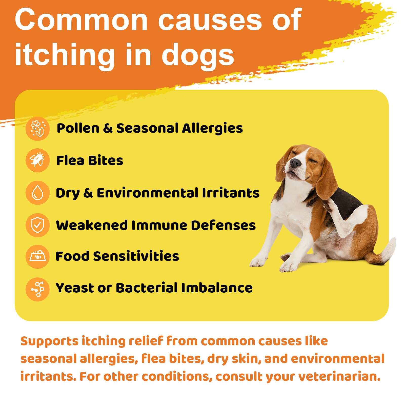 Jollyfit zinc-vitamina-e-perro piel: ayuda a reducir irritación de la piel.