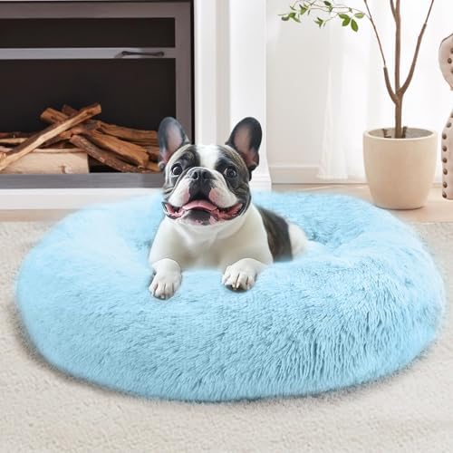 Cama JOLLYVOGUE calma para perro pequeño, 23 pulgadas, azul claro.