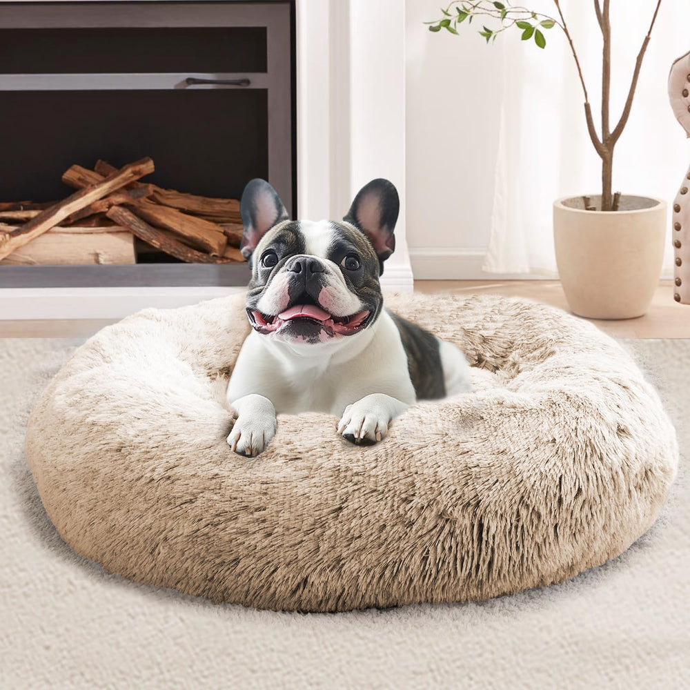Cama JOLLYVOGUE dona suave, ideal para confort diario.