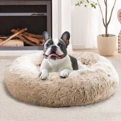 Cama JOLLYVOGUE dona suave, ideal para confort diario.