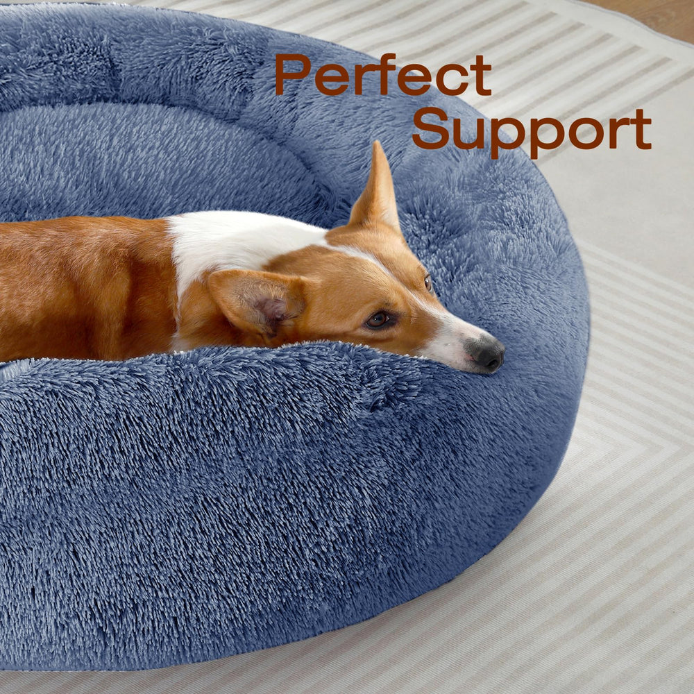 Cama para perro JOLLYVOGUE con borde suave para mayor seguridad nocturna.