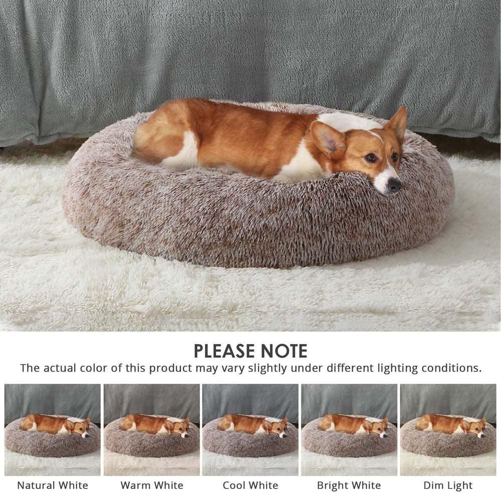 JOLLYVOGUE Cama donut con soporte para cuello, confort para mascotas pequeñas.