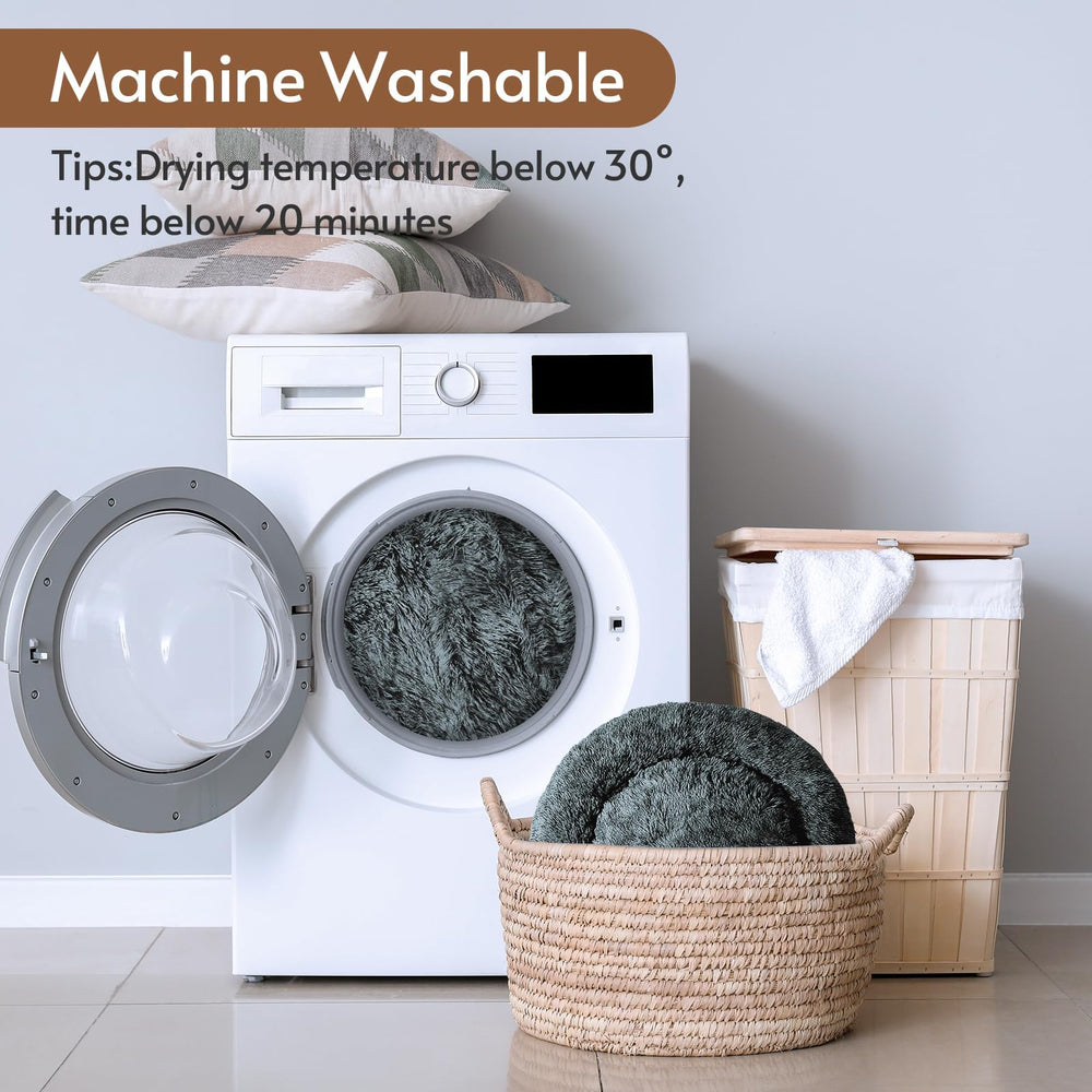 Lavado a máquina para higiene rápida con JOLLYVOGUE.
