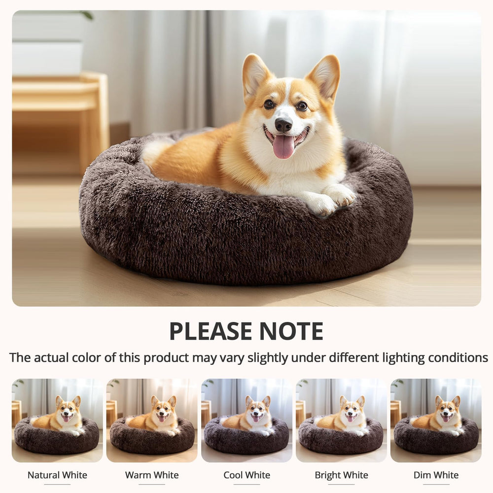 Cama JOLLYVOGUE para perro pequeño apoyo-cabeza, mullido soporte para dormir.