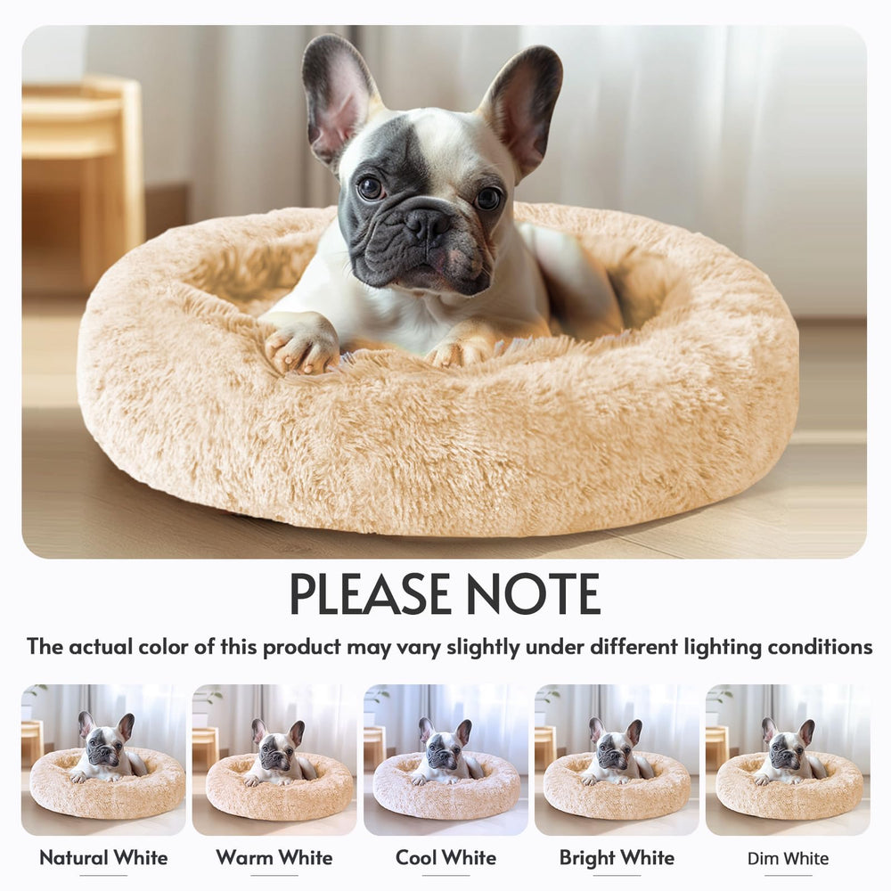 Cama JOLLYVOGUE tamaño medio para mascotas de 15 a 25 libras