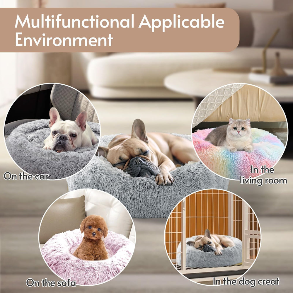Cama JOLLYVOGUE para mascotas de tamaño medio.