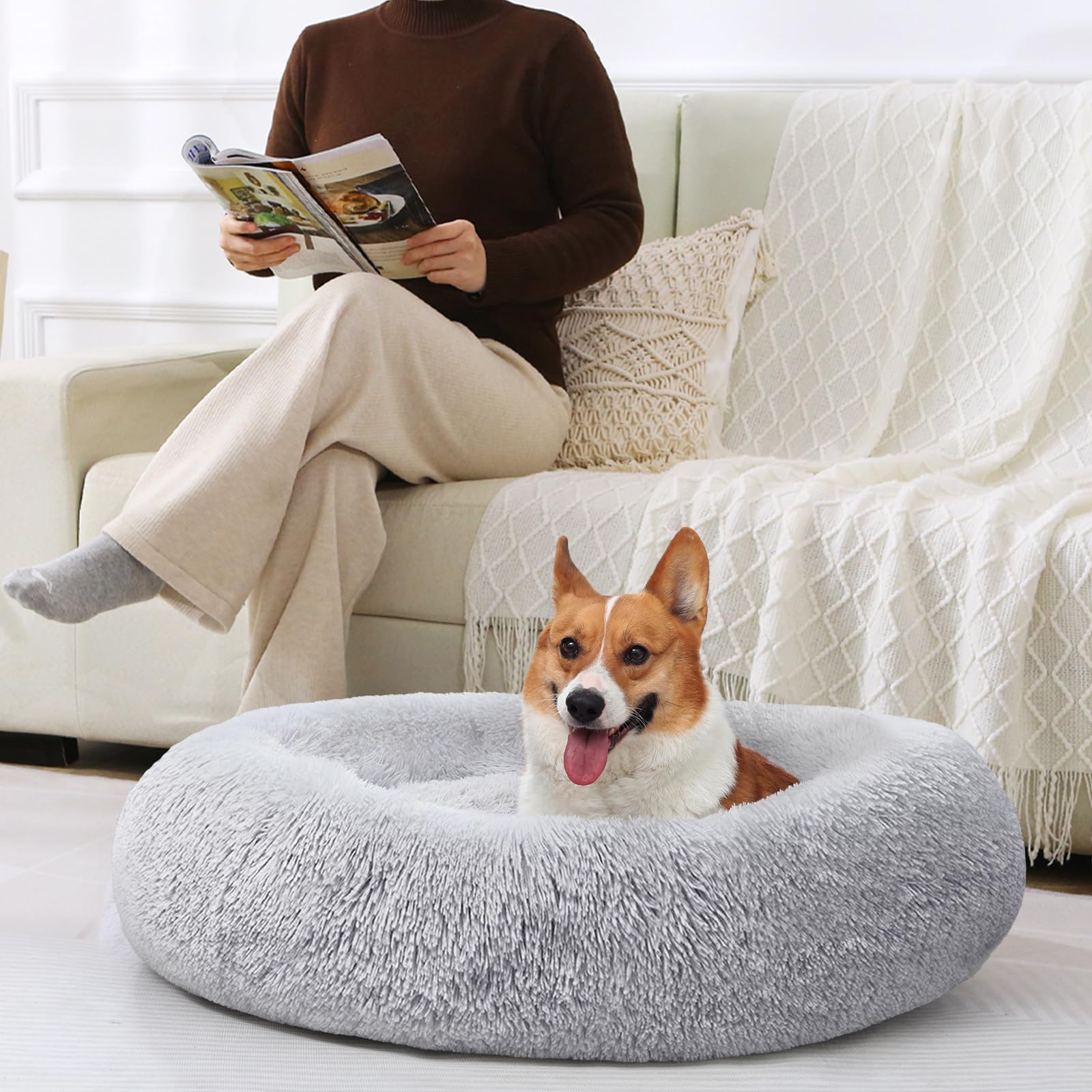 Uso diario de la cama JOLLYVOGUE para calmar y consolar a tu mascota.