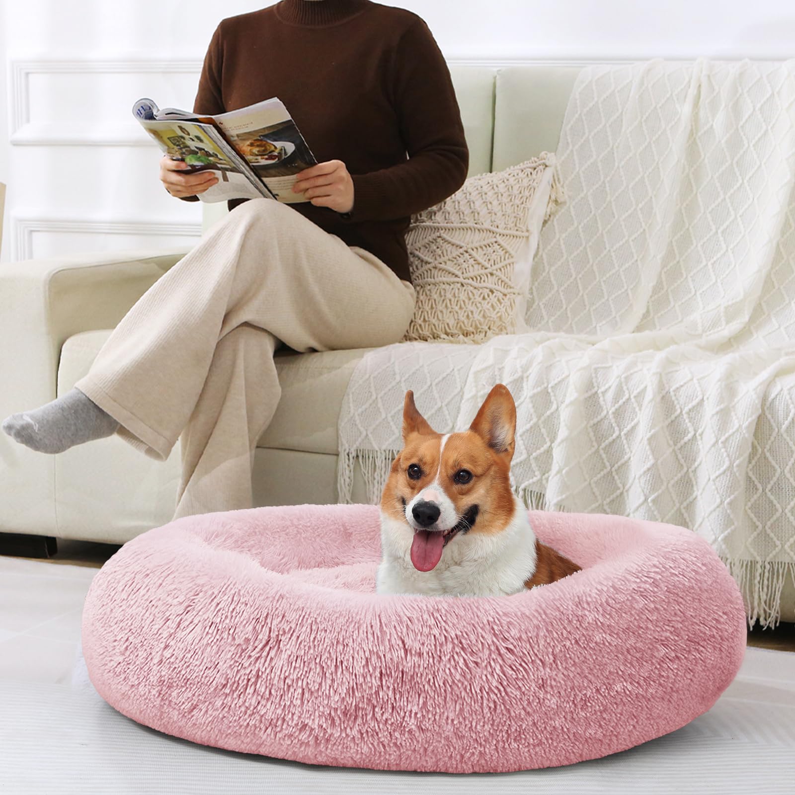 Cama JOLLYVOGUE para lavado a máquina: mantenimiento sencillo.