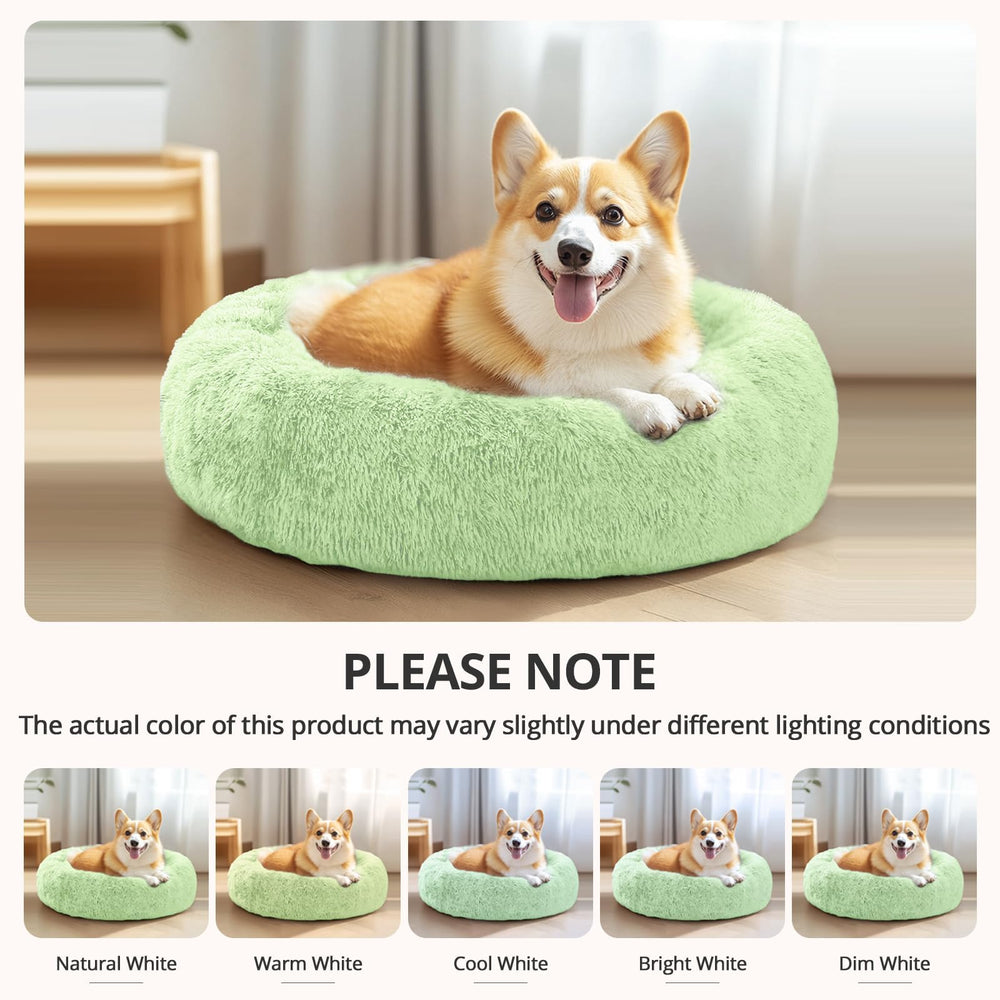 Diseño en forma dona de JOLLYVOGUE que abraza al perro.