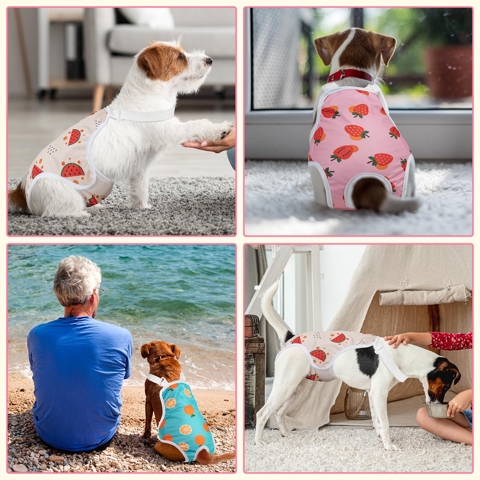 Patrones adorables de Jollywoods en pañales para perros