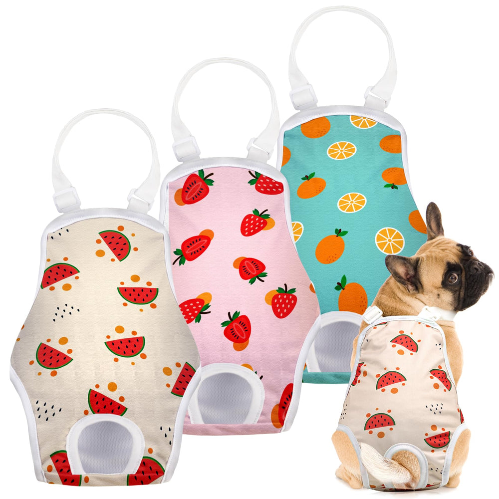 Pañales Jollywoods reutilizables para perras, conjunto de tres, uso diario seguro