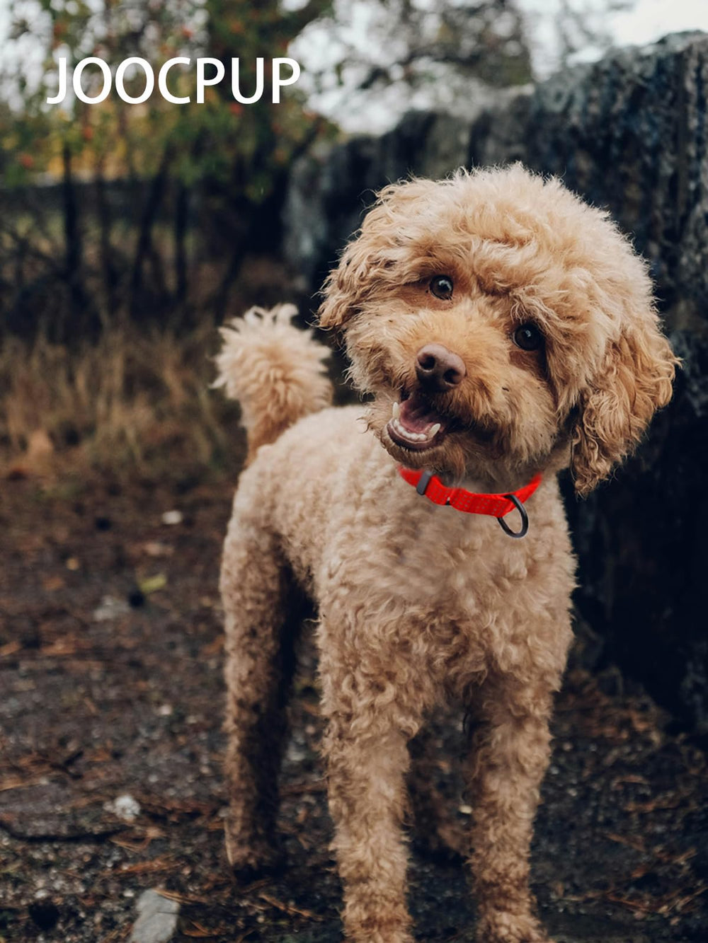 Textura suave y duradera para el cuello del perro