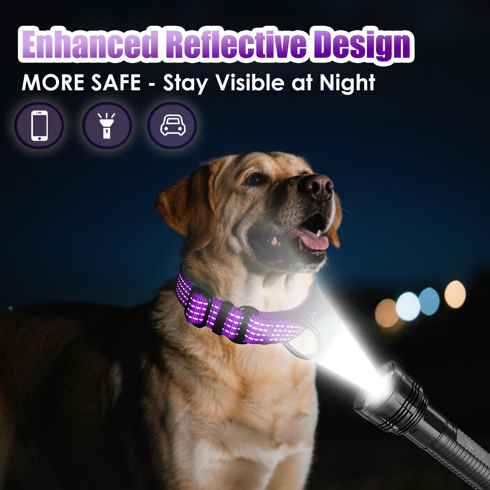 Collar martingale con diseño morado para perros: patrón bonito para uso diario seguro.