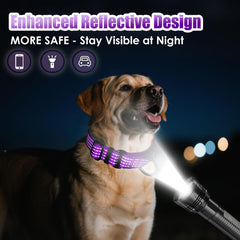 Collar martingale con diseño morado para perros: patrón bonito para uso diario seguro.